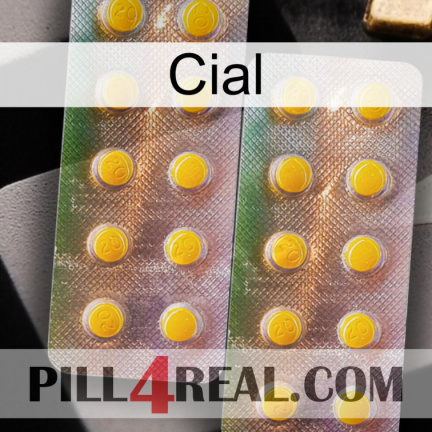 Cial new10